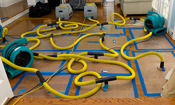 Professional Sewage Cleanup technician working in Heath, MA
